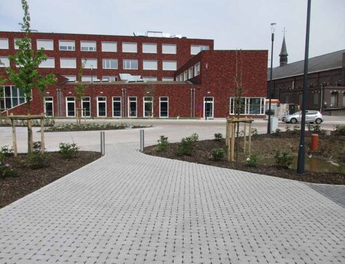 Schoolomgeving Sint-Franciscuscollege